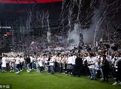 爱游戏平台-2009年欧联杯法兰克福